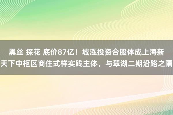 黑丝 探花 底价87亿！城泓投资合股体成上海新天下中枢区商住式样实践主体，与翠湖二期沿路之隔