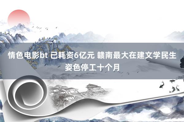 情色电影bt 已耗资6亿元 赣南最大在建文学民生姿色停工十个月