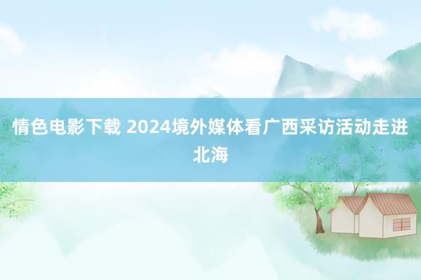 情色电影下载 2024境外媒体看广西采访活动走进北海