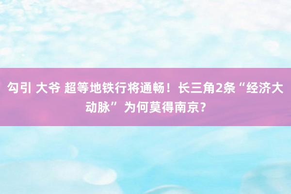 勾引 大爷 超等地铁行将通畅！长三角2条“经济大动脉” 为何莫得南京？