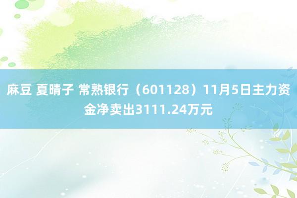 麻豆 夏晴子 常熟银行（601128）11月5日主力资金净卖出3111.24万元