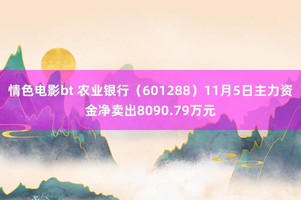 情色电影bt 农业银行（601288）11月5日主力资金净卖出8090.79万元