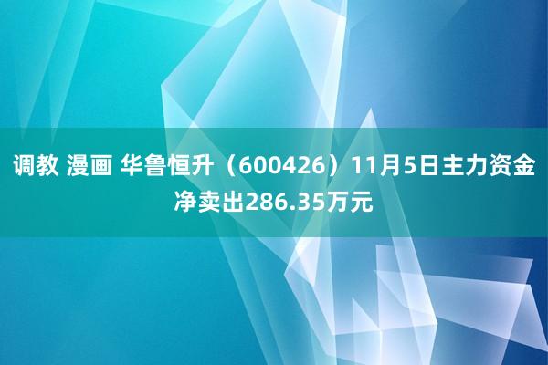 调教 漫画 华鲁恒升（600426）11月5日主力资金净卖出286.35万元