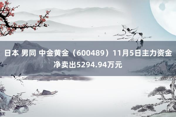 日本 男同 中金黄金（600489）11月5日主力资金净卖出5294.94万元