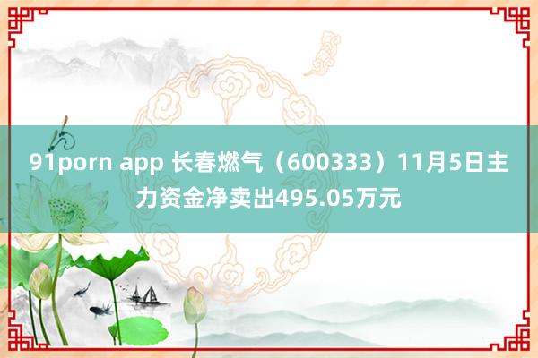 91porn app 长春燃气（600333）11月5日主力资金净卖出495.05万元