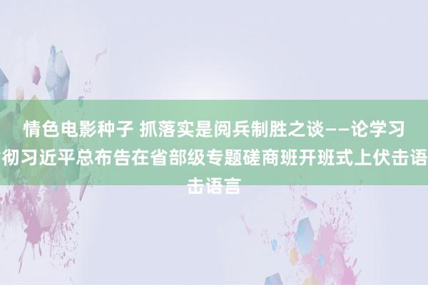 情色电影种子 抓落实是阅兵制胜之谈——论学习贯彻习近平总布告在省部级专题磋商班开班式上伏击语言