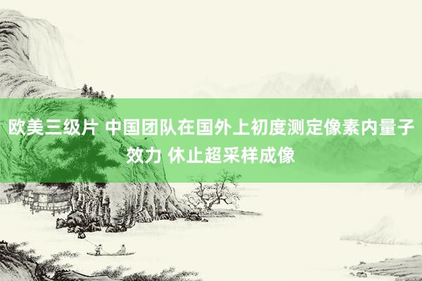 欧美三级片 中国团队在国外上初度测定像素内量子效力 休止超采样成像