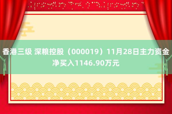 香港三级 深粮控股（000019）11月28日主力资金净买入1146.90万元