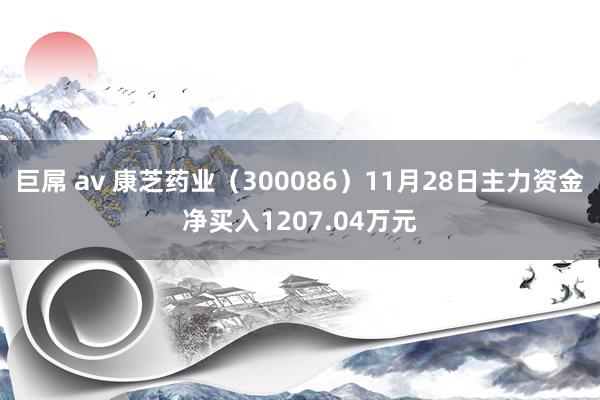 巨屌 av 康芝药业（300086）11月28日主力资金净买入1207.04万元