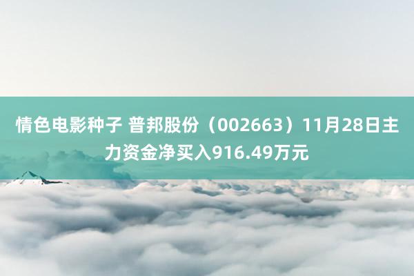 情色电影种子 普邦股份（002663）11月28日主力资金净买入916.49万元