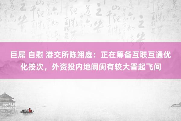 巨屌 自慰 港交所陈翊庭：正在筹备互联互通优化按次，外资投内地阛阓有较大晋起飞间