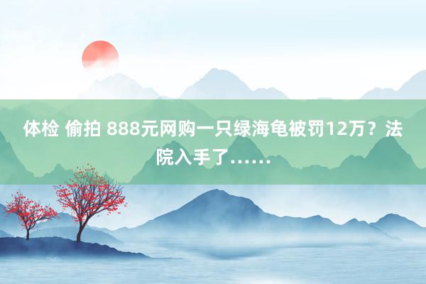 体检 偷拍 888元网购一只绿海龟被罚12万？法院入手了……