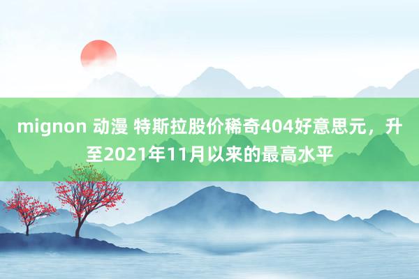 mignon 动漫 特斯拉股价稀奇404好意思元，升至2021年11月以来的最高水平