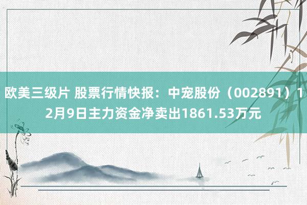 欧美三级片 股票行情快报：中宠股份（002891）12月9日主力资金净卖出1861.53万元