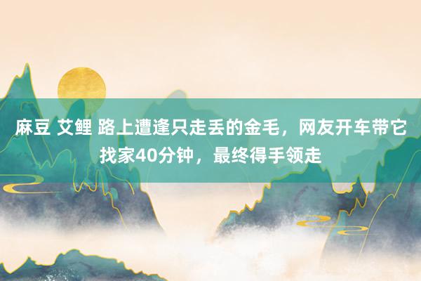 麻豆 艾鲤 路上遭逢只走丢的金毛，网友开车带它找家40分钟，最终得手领走