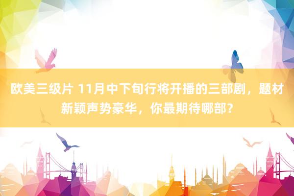 欧美三级片 11月中下旬行将开播的三部剧，题材新颖声势豪华，你最期待哪部？