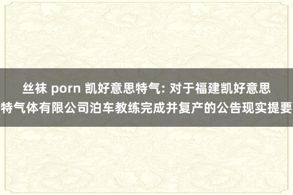 丝袜 porn 凯好意思特气: 对于福建凯好意思特气体有限公司泊车教练完成并复产的公告现实提要