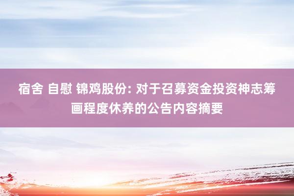 宿舍 自慰 锦鸡股份: 对于召募资金投资神志筹画程度休养的公告内容摘要