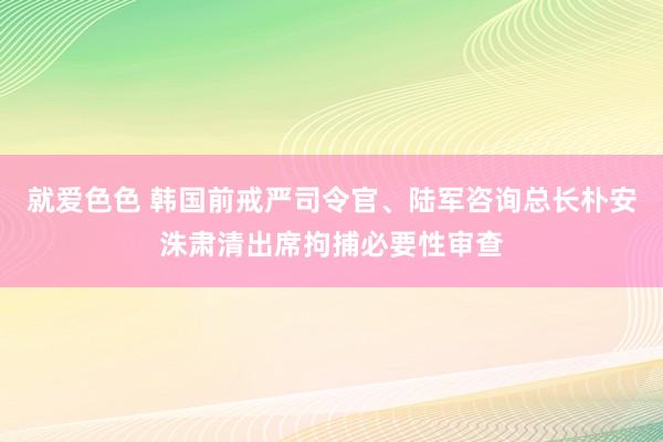 就爱色色 韩国前戒严司令官、陆军咨询总长朴安洙肃清出席拘捕必要性审查