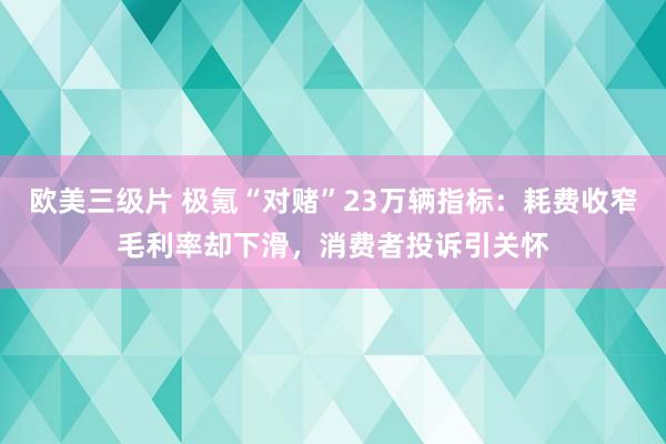 欧美三级片 极氪“对赌”23万辆指标：耗费收窄毛利率却下滑，消费者投诉引关怀