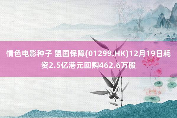 情色电影种子 盟国保障(01299.HK)12月19日耗资2.5亿港元回购462.6万股