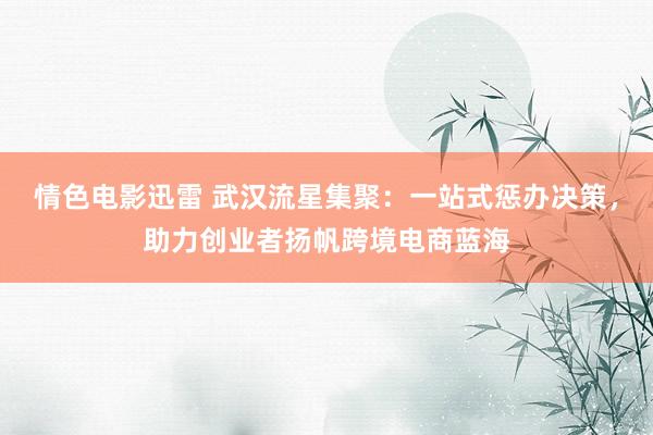 情色电影迅雷 武汉流星集聚：一站式惩办决策，助力创业者扬帆跨境电商蓝海