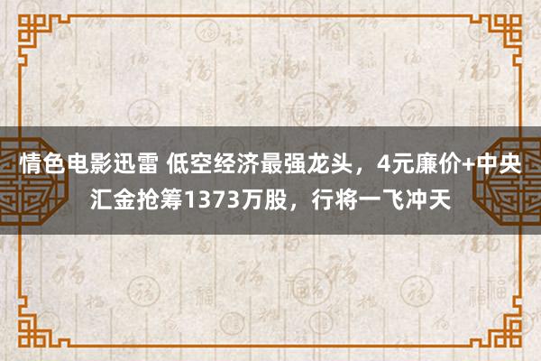 情色电影迅雷 低空经济最强龙头，4元廉价+中央汇金抢筹1373万股，行将一飞冲天