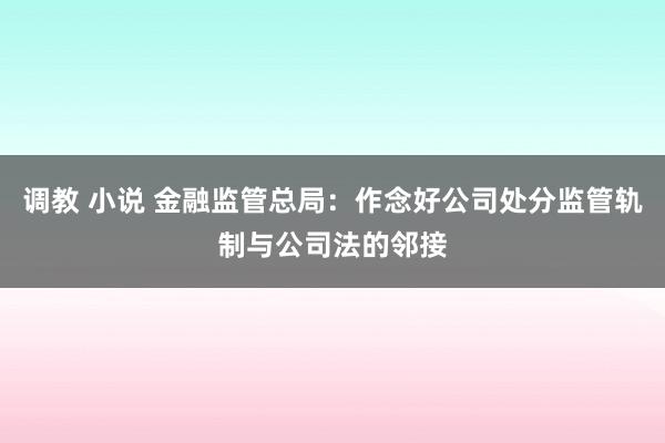 调教 小说 金融监管总局：作念好公司处分监管轨制与公司法的邻接