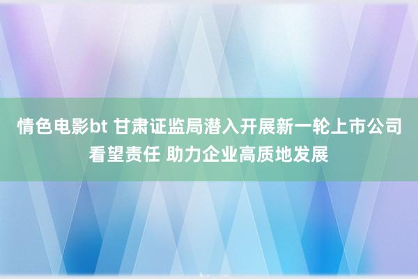 情色电影bt 甘肃证监局潜入开展新一轮上市公司看望责任 助力企业高质地发展