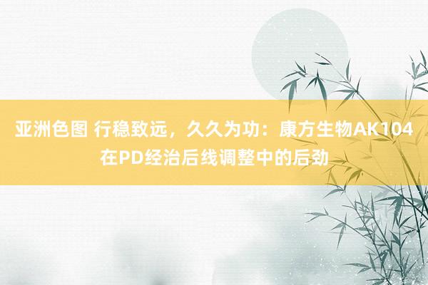 亚洲色图 行稳致远，久久为功：康方生物AK104在PD经治后线调整中的后劲