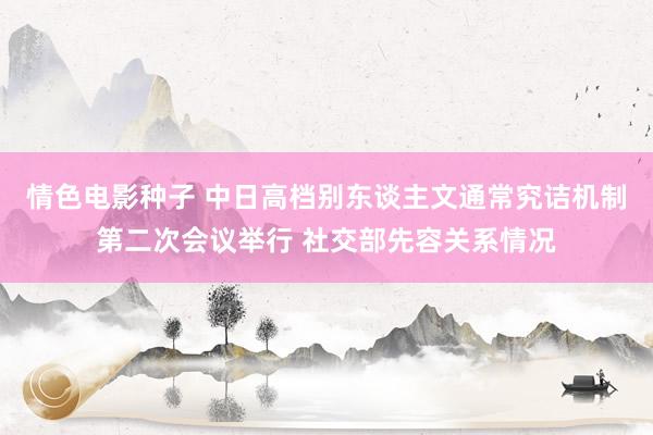 情色电影种子 中日高档别东谈主文通常究诘机制第二次会议举行 社交部先容关系情况