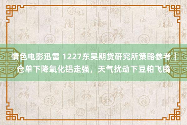 情色电影迅雷 1227东吴期货研究所策略参考｜仓单下降氧化铝走强，天气扰动下豆粕飞腾