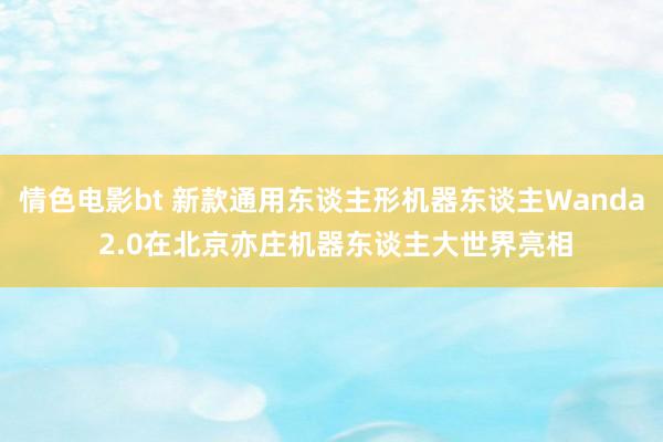 情色电影bt 新款通用东谈主形机器东谈主Wanda 2.0在北京亦庄机器东谈主大世界亮相