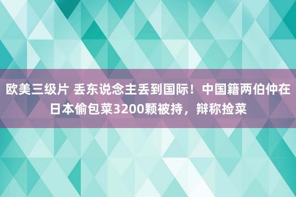 欧美三级片 丢东说念主丢到国际！中国籍两伯仲在日本偷包菜3200颗被持，辩称捡菜