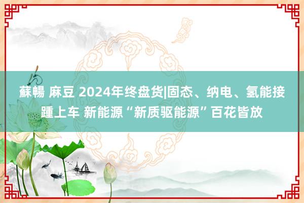 蘇暢 麻豆 2024年终盘货|固态、纳电、氢能接踵上车 新能源“新质驱能源”百花皆放