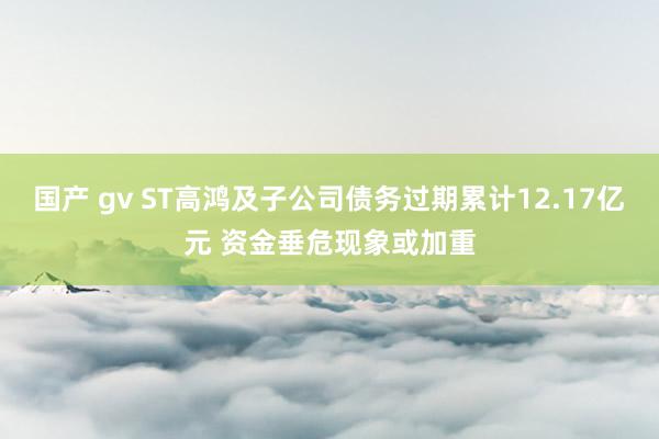 国产 gv ST高鸿及子公司债务过期累计12.17亿元 资金垂危现象或加重