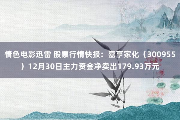 情色电影迅雷 股票行情快报：嘉亨家化（300955）12月30日主力资金净卖出179.93万元