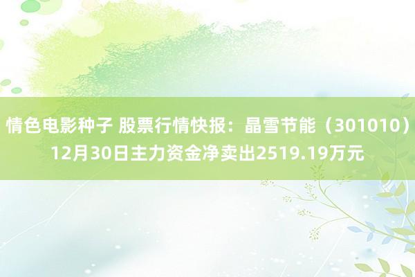 情色电影种子 股票行情快报：晶雪节能（301010）12月30日主力资金净卖出2519.19万元