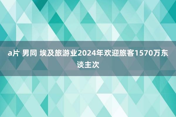 a片 男同 埃及旅游业2024年欢迎旅客1570万东谈主次