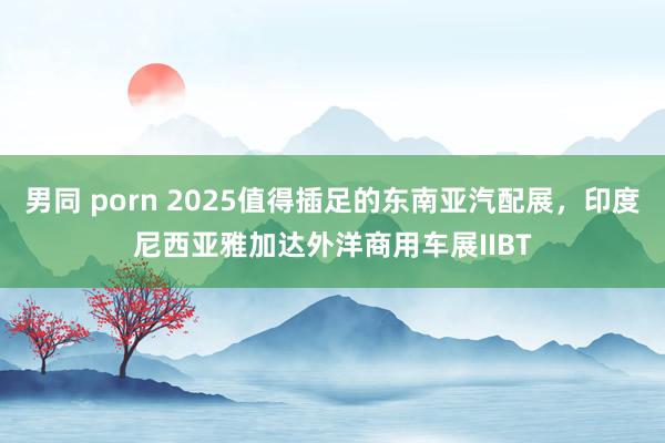 男同 porn 2025值得插足的东南亚汽配展，印度尼西亚雅加达外洋商用车展IIBT