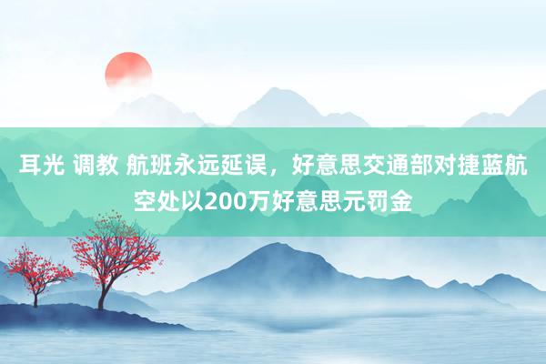 耳光 调教 航班永远延误，好意思交通部对捷蓝航空处以200万好意思元罚金