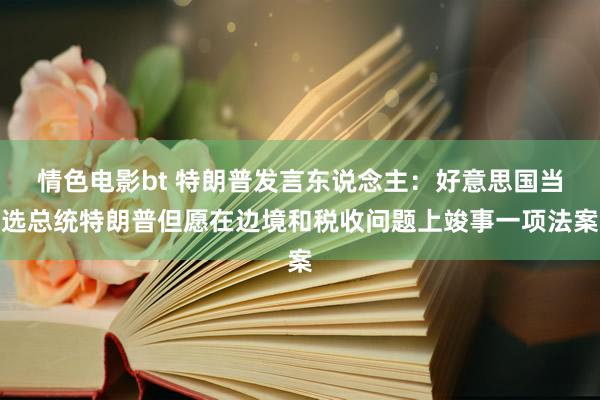 情色电影bt 特朗普发言东说念主：好意思国当选总统特朗普但愿在边境和税收问题上竣事一项法案