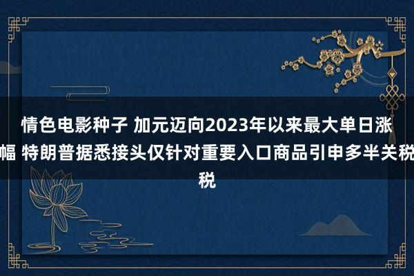 情色电影种子 加元迈向2023年以来最大单日涨幅 特朗普据悉接头仅针对重要入口商品引申多半关税