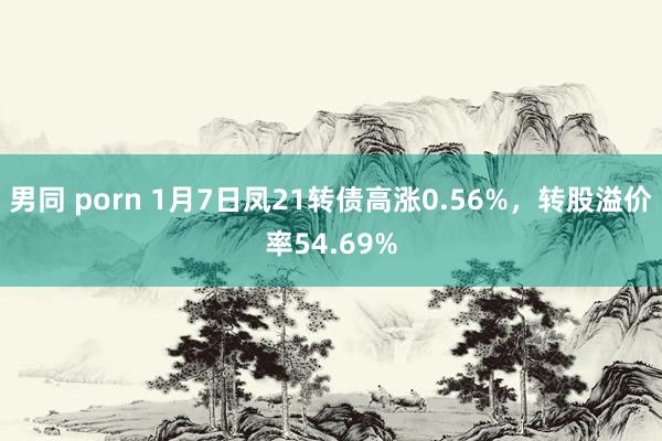 男同 porn 1月7日凤21转债高涨0.56%，转股溢价率54.69%