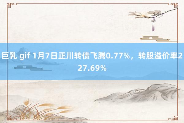 巨乳 gif 1月7日正川转债飞腾0.77%，转股溢价率227.69%