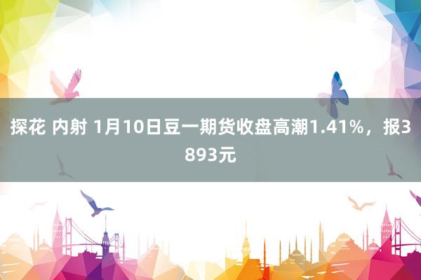 探花 内射 1月10日豆一期货收盘高潮1.41%，报3893元