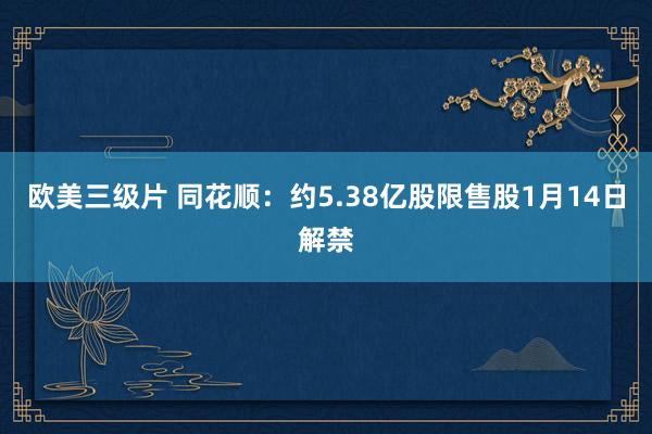 欧美三级片 同花顺：约5.38亿股限售股1月14日解禁