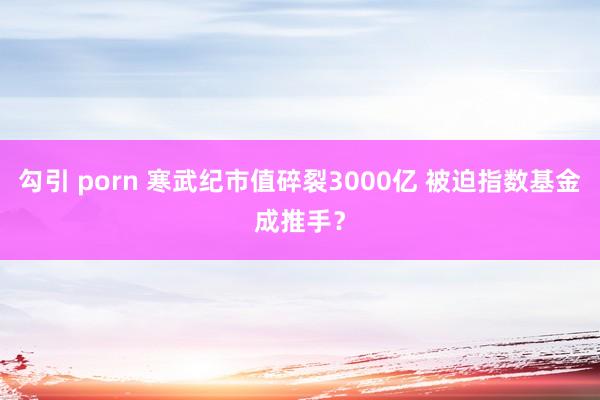 勾引 porn 寒武纪市值碎裂3000亿 被迫指数基金成推手？