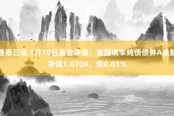 香港三级 1月10日基金净值：富国瑞丰纯债债券A最新净值1.0704，涨0.01%