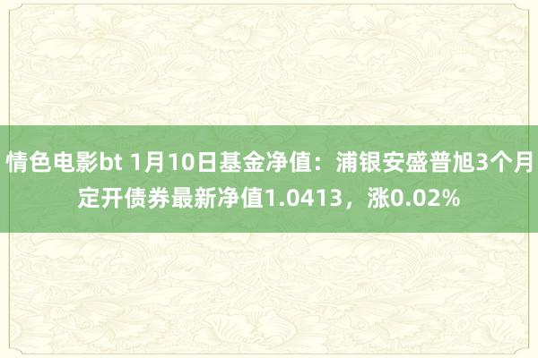 情色电影bt 1月10日基金净值：浦银安盛普旭3个月定开债券最新净值1.0413，涨0.02%